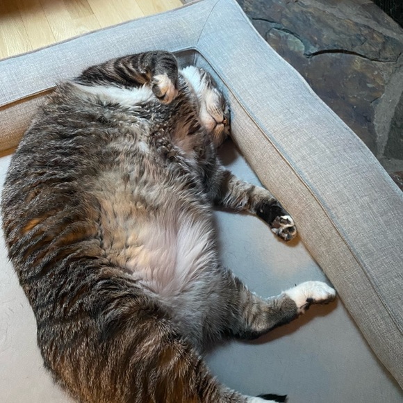 Meet your Posher, Michelle - Picture 6 of 17